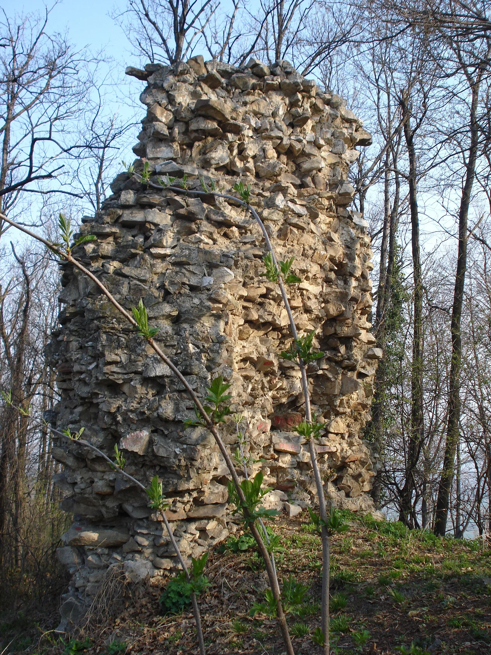 Trojanov Grad